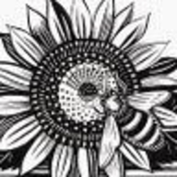 Meet your Posher, Lynn - Picture 1 of 1